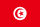Tunisia flag